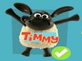 Бучни на Timmy Име игра да се игра онлајн