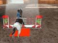 Equestrian 3D да се игра онлајн